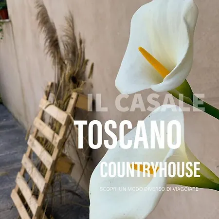 - Il Casale Toscano - 1900Mt From The Tower Of Pisa - Free Parking - No Breakfast - No Air Conditioning But Fan - Only Self Check In From 4 Pm Pisa