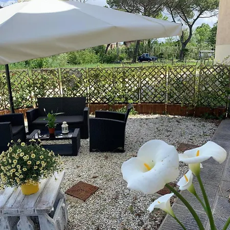- Il Casale Toscano - 1900Mt From The Tower Of Pisa - Free Parking - No Breakfast - No Air Conditioning But Fan - Only Self Check In From 4 Pm * Pisa