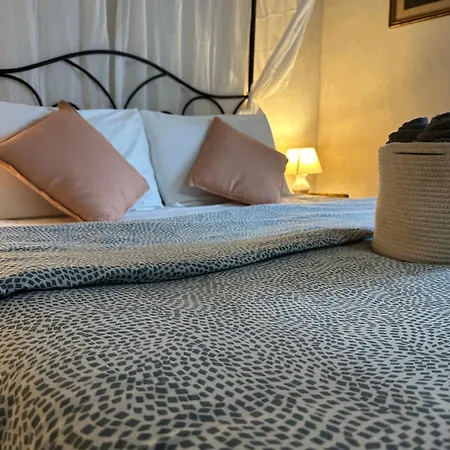 - Il Casale Toscano - 1900Mt From The Tower Of Pisa - Free Parking - No Breakfast - No Air Conditioning But Fan - Only Self Check In From 4 Pm Venkovský dům